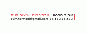 אביב חרמוני | אדריכלות ועיצוב פנים