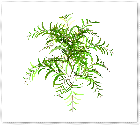 שיח תלת ממדי