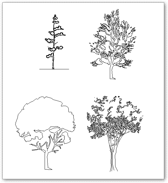 עצים לשימוש בחזיתות