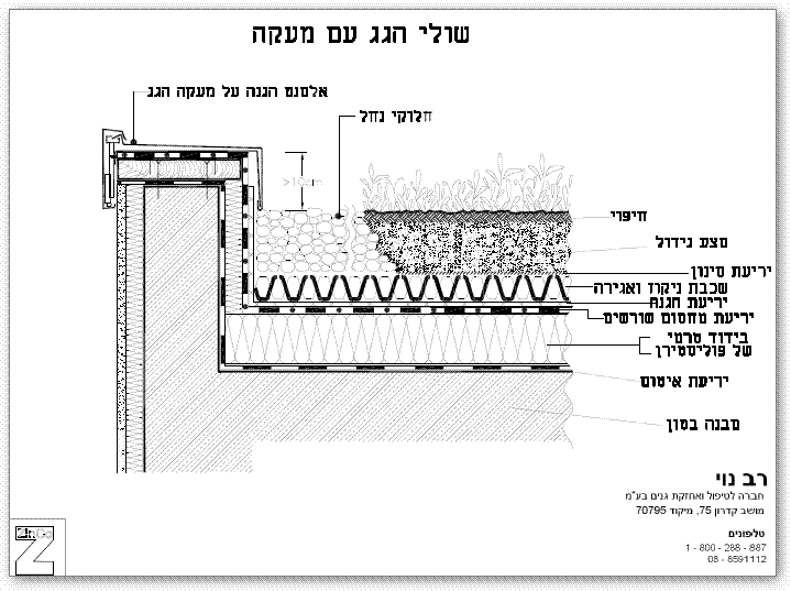 שולי גינת גג ומפגש הגינה עם המעקה
