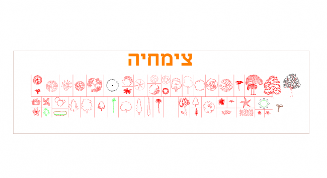 תמונה