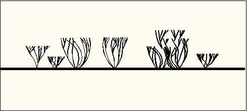שיחים לשרטוט בחזית או חתך