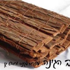 גדר קליפות גזעי אורן כפול