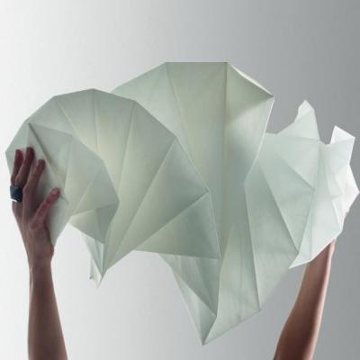 כששתי ענקיות חוברות יחדיו...