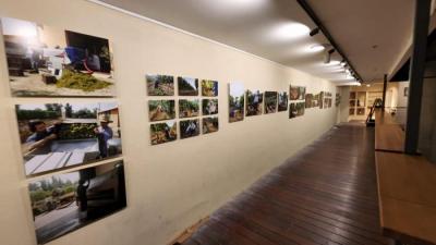 מסילות לתליית ציורים ותמונות