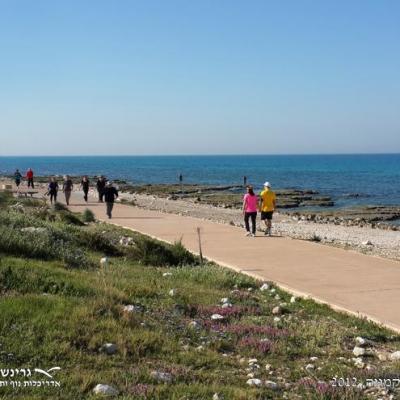 גרינשטיין הר גיל