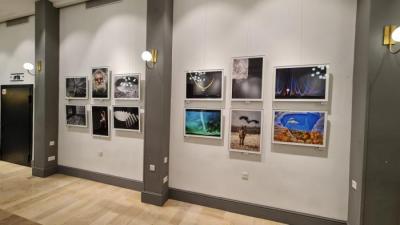 גלריה במלון קמפינסקי