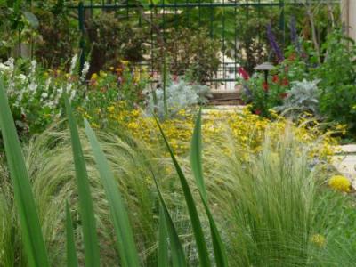 עיצוב גינות - גינה במראה טבעי