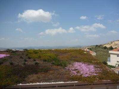 צמחיה על הגג הירוק, גוש עציון