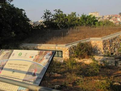 חצבים על הגג המשופע בתחנה לחקר צפורי ירושלים