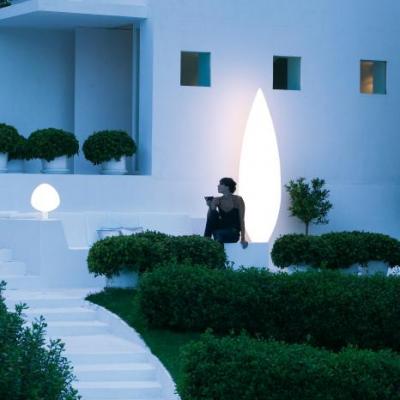 עצים מוארים