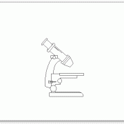 חזית צד מיקרוסקופ