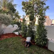 האבולוציה של עיצוב והקמת גינות במרחב האדריכלי