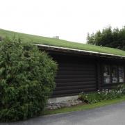 גג ירוק במבנה אירופאי טיפוסי