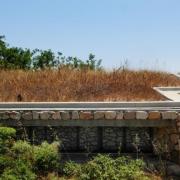 גגות ירוקים – קצת סדר בבלגאן