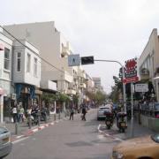 שינקין כמשל