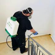 למה להזמין הדברה לפני כניסה לדירה חדשה