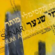 עומס מקסימלי מותר - תערוכה, עמי שנער