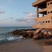 בדרך אל הים: אדריכלות בין הכרמל לחוף