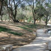 אתגרים בשמירת הטבע בישראל