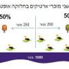 תרשים 2 - חלוקה אופטימאלית של החוף