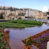 גג ירוק ללא השקיה: האם ייתכן בישראל?