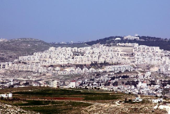 תחי שכונת הר חומה האדירה