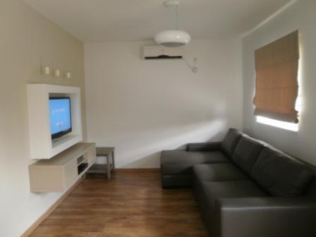 חדר טלוויזיה בבית פרטי