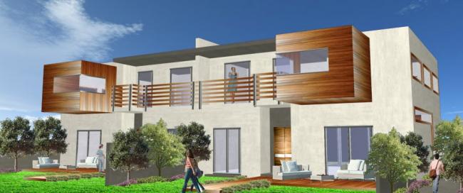 דו משפחתי, נס ציונה