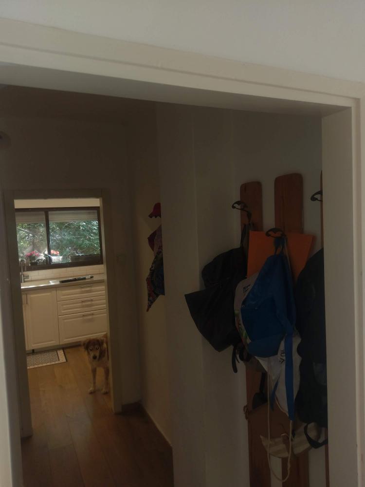 מתלה במסדרון המחבר את המטבח לבית לפני