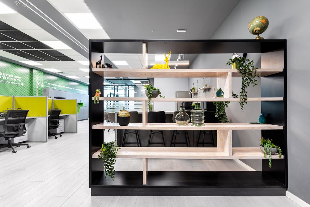 מחיצה שהיא גם דקורציה