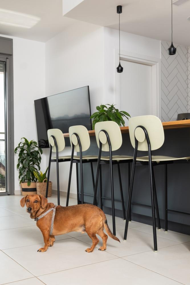 אי שיבה ומשטח עבודה