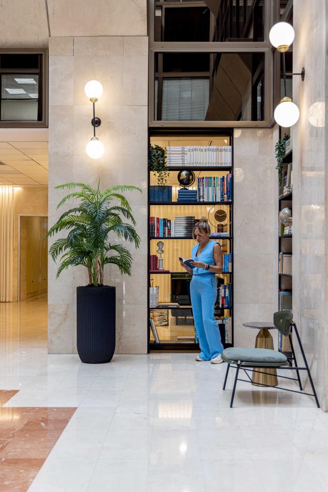 מבט נוסף אל ספריות הברזל