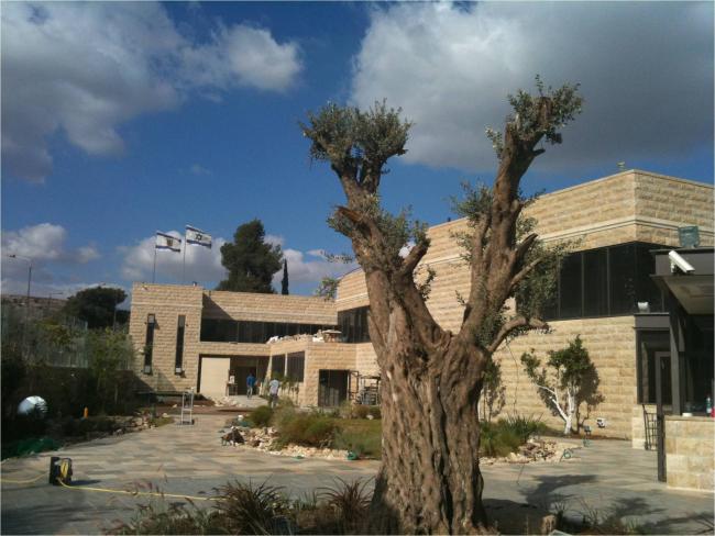 תמונה