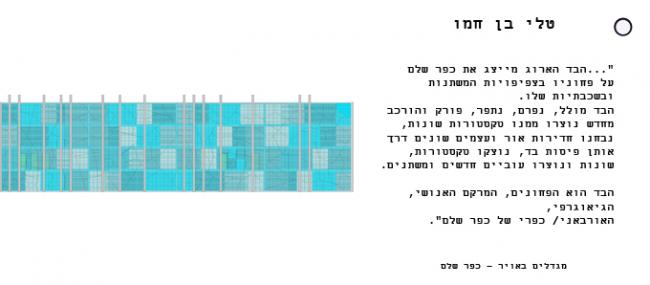 פרויקט מחקרי-טלי בן חמו