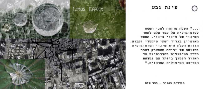פרויקט מחקרי- עינת גבע