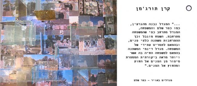 פרויקט מחקרי -קרן טורגמן