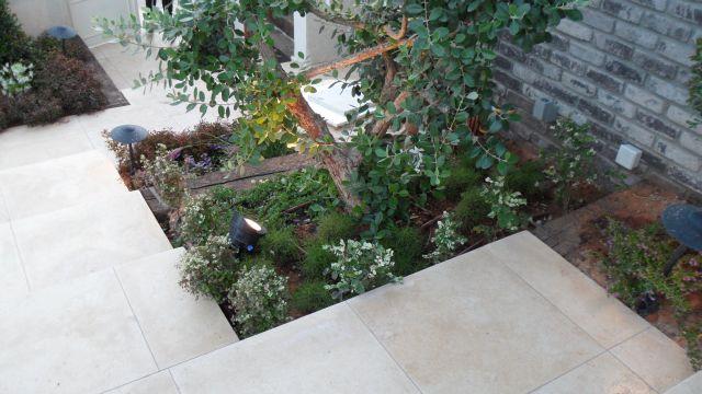 מדרגות הכניסה לבית עם הגינון.