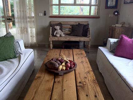 נוכחות הטבע בסלון