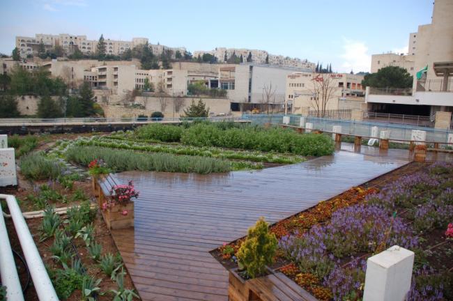 גג ירוק בבית ספר אור תורה לאחר שנה מההקמה