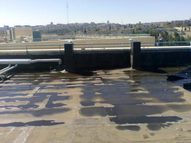 גג בית הספר לפני שנהיה גג ירוק