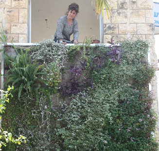 נעמי ויינגרוד והקיר הירוק