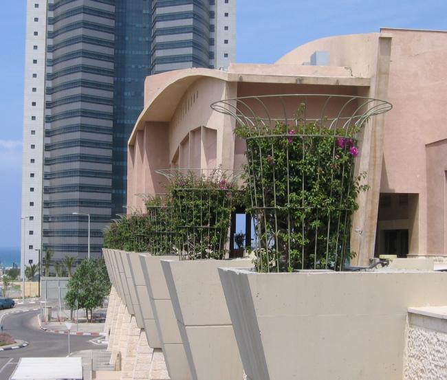 תומכי השיחים אשר מוצבים במתחם קסטרא, חיפה