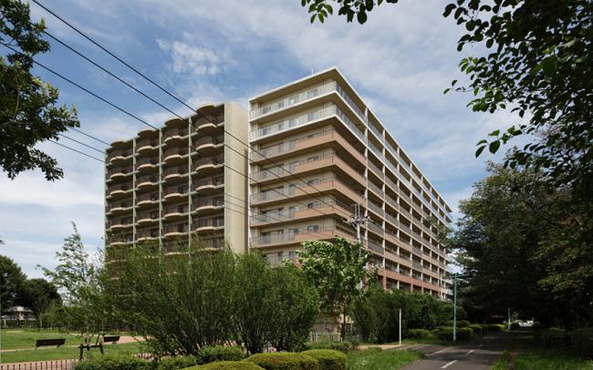 בניין בהרמוניה עם הסביבה הטבעית