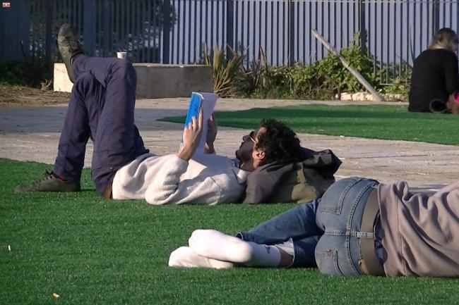 דשא קבוע אוניברסיטת חיפה