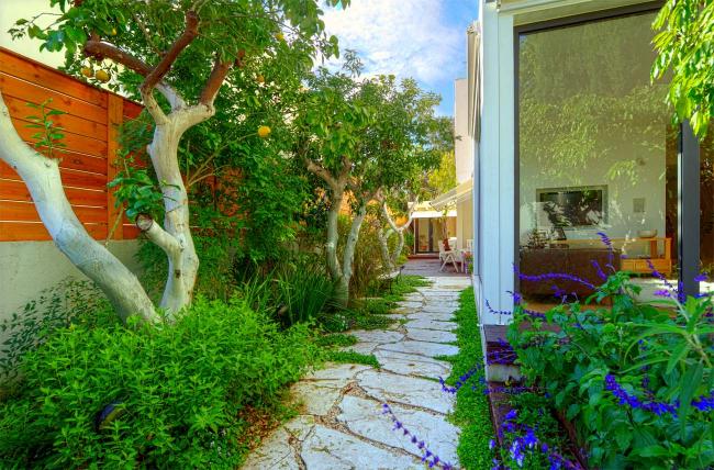 גינה בהרצליה פיתוח