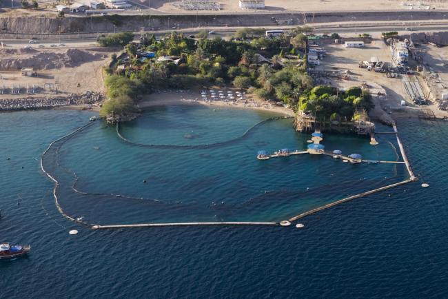ריף הדולפינים באילת