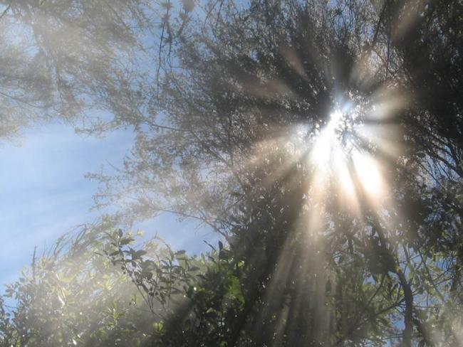 קונספט 1 מקור השראה