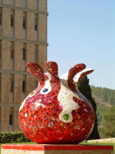 &quot;רימון&quot; בי&quot;ח הדסה עין כרם