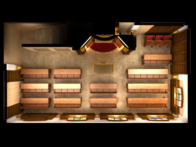 הדמיה בתוכנית